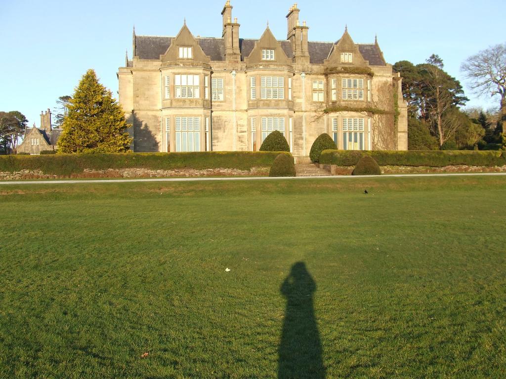 Rockfield House B&B Killarney Exterior foto
